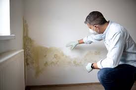 Best Mold Removal for HVAC Installations  in Ash Grove, MO